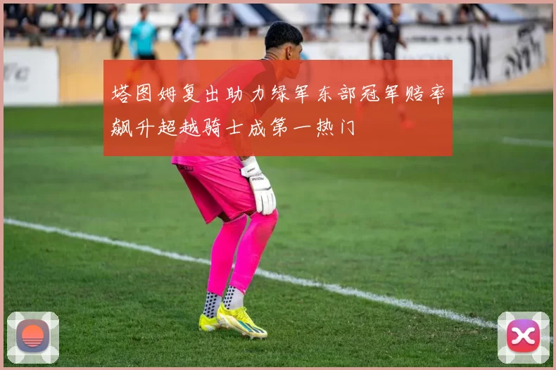 塔图姆复出助力绿军东部冠军赔率飙升超越骑士成第一热门