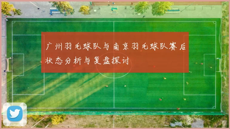 广州羽毛球队与南京羽毛球队赛后状态分析与复盘探讨