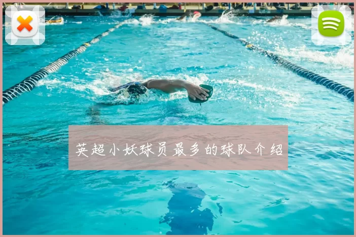 英超小妖球员最多的球队介绍