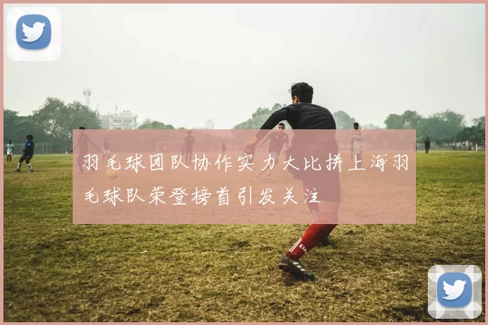 羽毛球团队协作实力大比拼上海羽毛球队荣登榜首引发关注