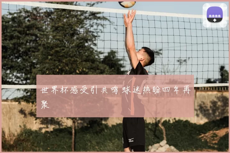 世界杯感受引共鸣 球迷热盼四年再聚