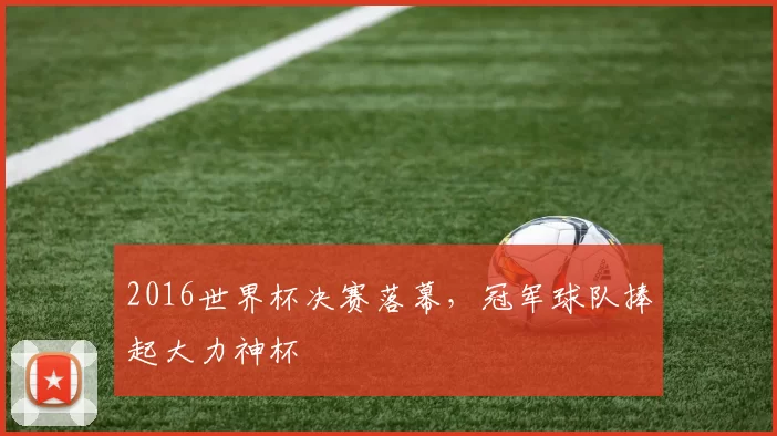 2016世界杯决赛落幕，冠军球队捧起大力神杯