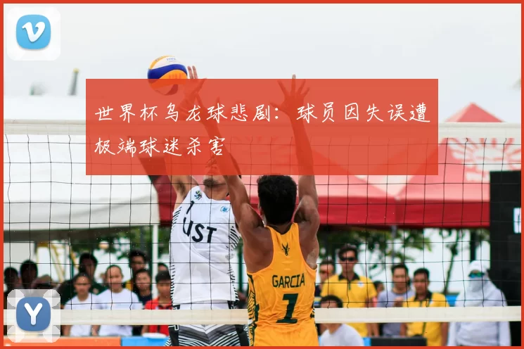 世界杯乌龙球悲剧：球员因失误遭极端球迷杀害