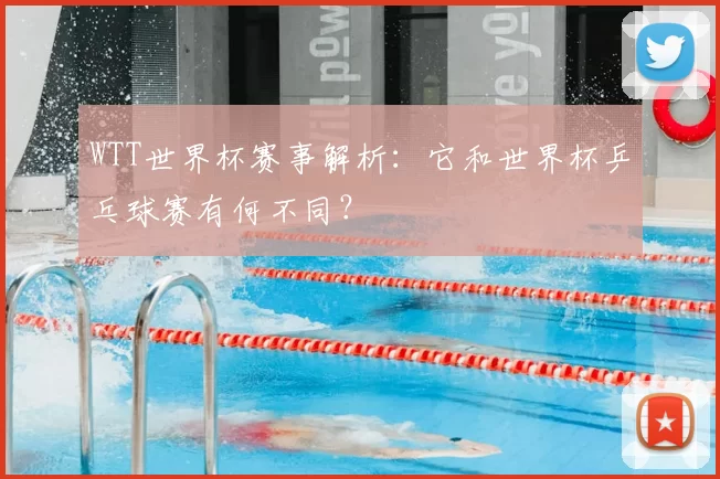WTT世界杯赛事解析：它和世界杯乒乓球赛有何不同？