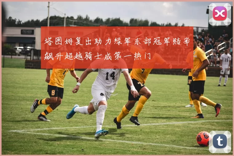 塔图姆复出助力绿军东部冠军赔率飙升超越骑士成第一热门