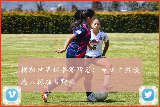 揭秘世界杯参赛阵容:专访主帅谈选人标准与野心