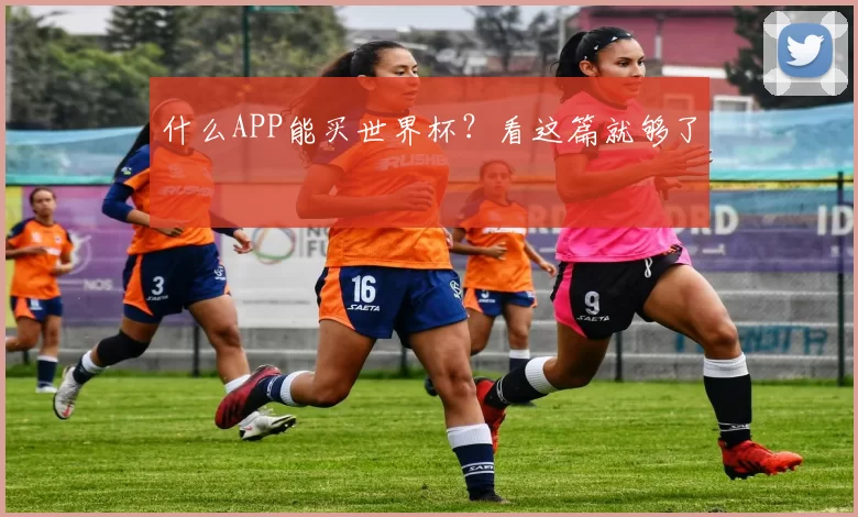 什么APP能买世界杯？看这篇就够了