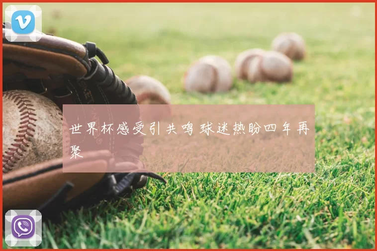 世界杯感受引共鸣 球迷热盼四年再聚
